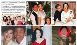 娱乐圈吃瓜采访是真的吗