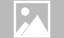 娱乐圈吃瓜评论,揭秘明星背后的故事与真相