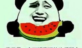 网络流行语吃瓜什么意思,围观娱乐圈的趣味解读