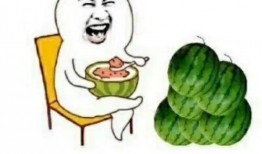 吃瓜娱乐小队,揭秘娱乐圈幕后故事