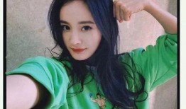 娱乐圈吃瓜明星杨幂是谁,娱乐圈吃瓜明星的华丽蜕变