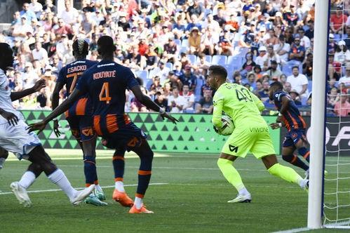 23-24赛季法甲第18轮：勒阿弗尔vs里昂,法甲第18轮战报揭晓”