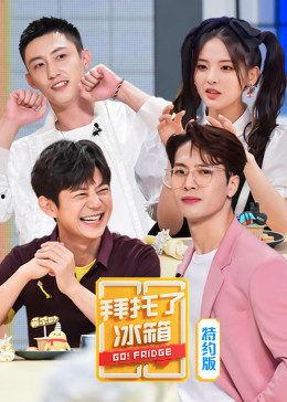 拜托了冰箱 中国版 第6季,揭秘明星们的“冰箱秘密”，美食与生活的完美融合