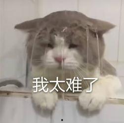 让我尖叫,探寻刺激与惊喜的极致体验